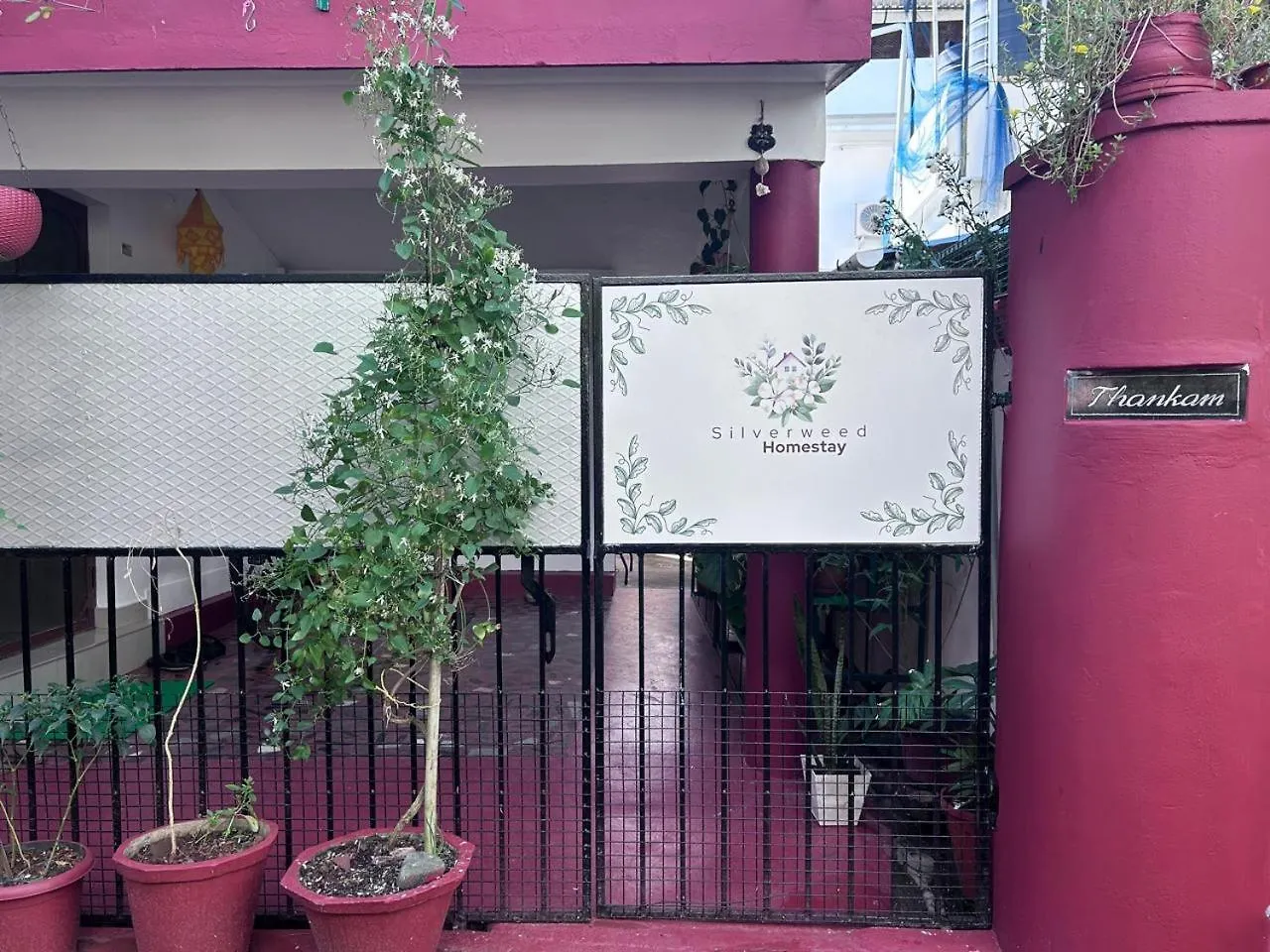 Silverweed Homestay Fort Kochi Indien