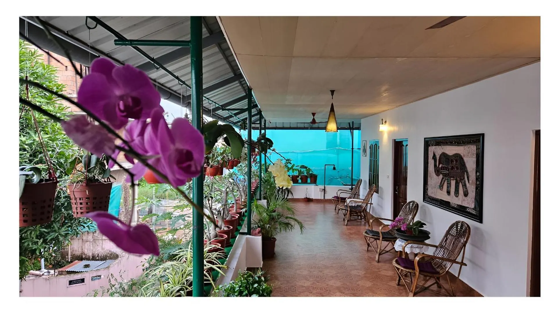 Silverweed Homestay Fort Kochi Indien