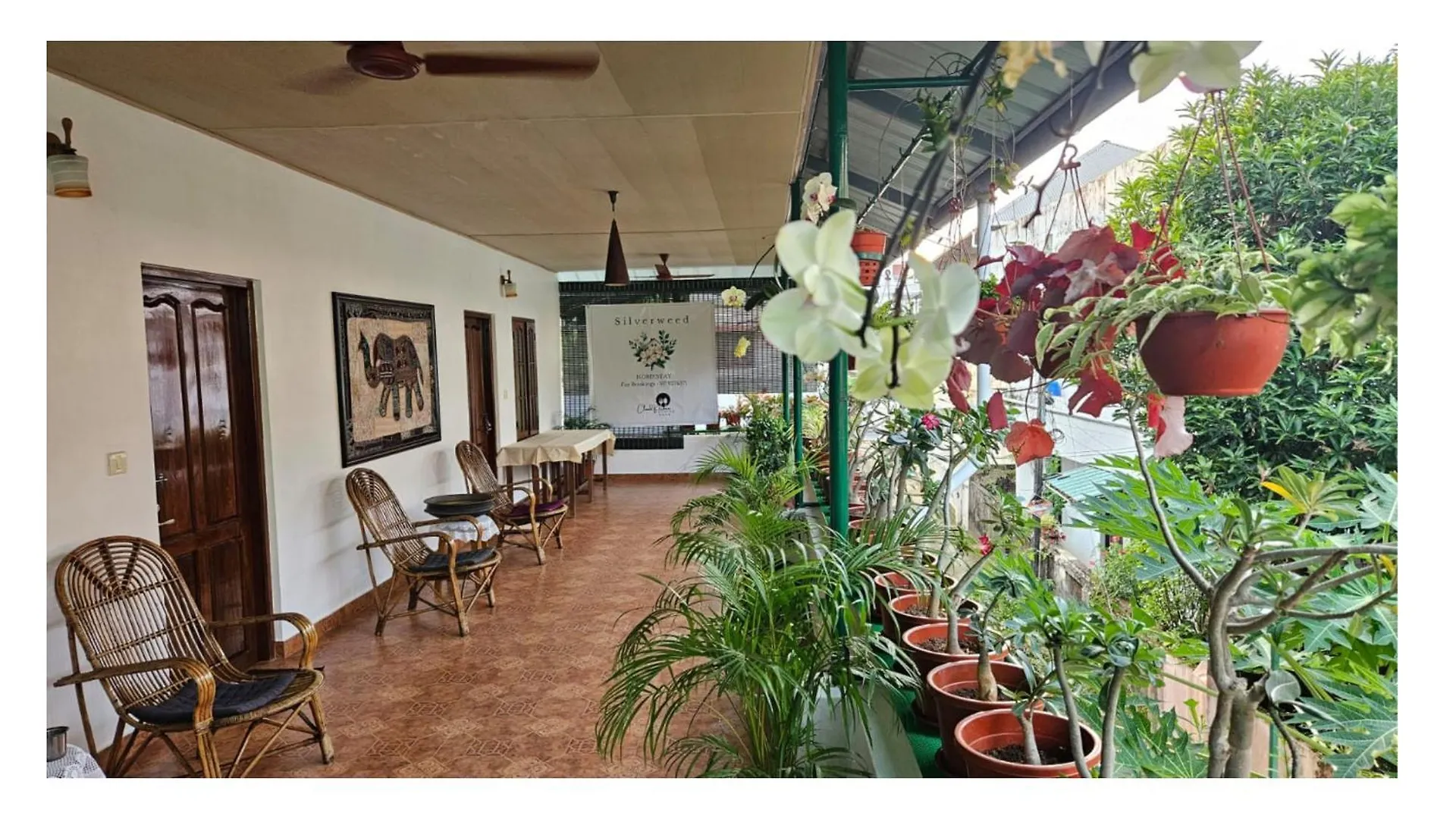 Silverweed Homestay Fort Kochi 0*,  Indien